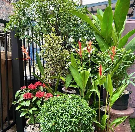 5br House Btsnana Nanaplaza Center Mbk Center World Бангкок